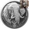 Silbermnze Sdafrika Big Five II. Elefant (1.) 2021 - im Blister -  1 Oz ST